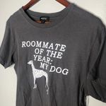 Wildfox NWT women's medium tee shirt roommate year my dog Dalmatian gray Photo 1