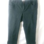Venezia 16 Short 36x23 Cotton Denim Jeans Plus in Black Photo 0