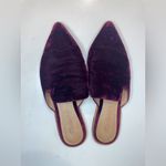 Madewell Women’s Gemma Mule Velvet Purple with Pointed Toe Shoes Size 6 Photo 4