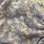 Isabelle's Cabinet  Top Photo 3