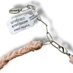 Free People  Ariana Ost Bohemian Beachy Retro 70s Shard Spike Shell Necklace NWT Photo 8