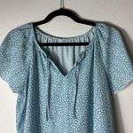 Simplicity  light Blue Cheetah Short Sleeve Blouse size Large Photo 1