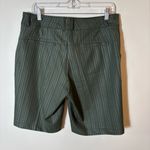 Nike  Golf FitDry‎ Striped Performance Shorts Green Size 10 Photo 5