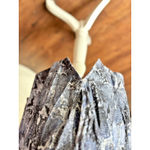 Chico's  Boat Neck Casual Pullover‎ Top Blue Snakeskin XL 100% Pima Cotton Photo 2