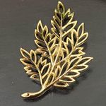 Vintage Unsigned Gold Photo 5