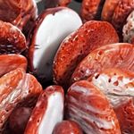 Navajo Spiny Oyster Necklace w Chunky Red Orange Beads Silver Plated Toggle EUC Photo 5