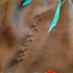 Gap Floral Spaghetti Strap Lightweight Tank XS  Photo 11