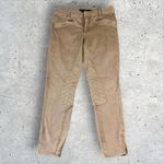 Ralph Lauren Sport Women's Sz 30 Beige Horse Riding Pants Equestrian Quilted Photo 1