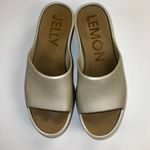 Lemon Jelly Sunny Molded Slide Platform Sandals Champagne Silver Size EU 41 (10) Photo 2