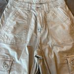 American Eagle Outfitters Cargo Pants Photo 1