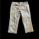 Lane Bryant  pink washed light black jeans Photo 1