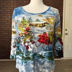 Take Two Christmas Blouse Photo 0