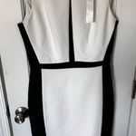 White House | Black Market , classy black-and-white dress size 4 Photo 0