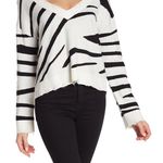 Wild Honey Cropped Zebra Distressed V-Neck Sweater Photo 0