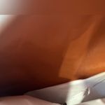 Lounge Fly  Disney Beauty And The Beast Couple Rose Mini Backpack Photo 5