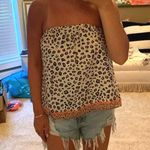 Lizard Thicket Top Photo 0