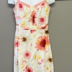 Ann Taylor  Petites Cream Floral Lined Cotton Sundress- 10P Photo 0
