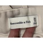 Abercrombie & Fitch  Tan Gray Straight Leg Dress Pants Trousers Womens Size 30 10 Photo 4