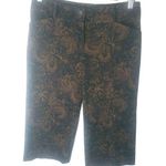 Harolds 2 30x20 Chocolate Paisley Courderoy Crop Pants Brown Photo 0