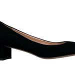 J.Crew NEW Kate pumps in suede Photo 1