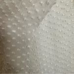 Beyond Vintage Swiss Dot V Photo 12