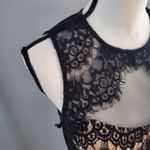 Betsy and Adam Sleeveless Lace Over Netting Cocktail Dress Black Pink 6 Photo 6