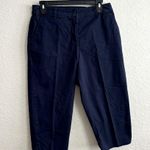 Karen Scott  Navy blue capri Size 8P Photo 0
