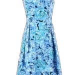 Carmen Marc Valvo Luxe by  blue roses fit and flare dress  with pockets size 16P Photo 1