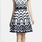 The Limited  A line Pleated Drop Waist Dress With Pockets Photo 9