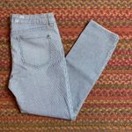 Pilcro and the Letterpress PILCRO BLUE & WHITE PARALLEL MINI STRIPE SKINNY JEANS Photo 1