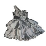 San Joy Metallic Silver One-Shoulder Dress. Photo 0