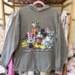 Disney Vintage Mickey Mouse & Friends‎ Florida Hoodie Sweater Size S/M Gray Photo 9