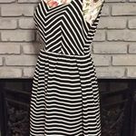 Elle Black White Striped A-Line Skater Fit Flare Dress Photo 1