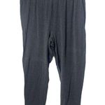 Eileen Fisher Women’s Pants Medium Slouchy Crop Pants Tencel Knit Pull On Gray Photo 0