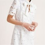 Black Halo  Sara Lace Mini Dress Photo 1