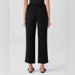 Eileen Fisher Black Silk Georgette Crepe Ankle Straight Pant NWT Size Medium Photo 3