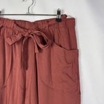Anthropologie  Dolan Northwestern Rust Orange Jogger Pants M Photo 3