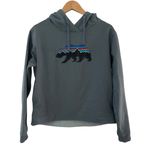 Patagonia W. Fitz Roy Bear Uprisal Hoody Shadow Blue Regular Fit Size Medium Photo 3