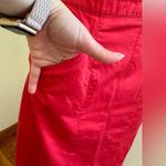 Carolina Herrera  Light Red Midi Skirt Zip In Back Bottom Back Pleaded SZ 10 Photo 7