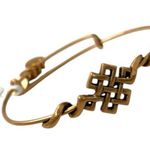 ALEX AND ANI NWT  Endless Knot Rafaelian Good Finisj Bracelet Photo 0