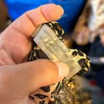 Victoria's Secret Animal Print Sheer Swim Cover Photo 3