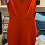 Sangria Women's  Orange Laser Cut Sheath Dress Size 6 Photo 0