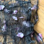 Sheer Black and Purple Butterfly Set Size M Photo 1