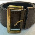 Furla  Brown Leather Embossed Belt Gold Tone Buckley Photo 0