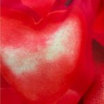 NWOT Valentino heart print dress SIZE 6 Red Photo 15