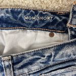 American Eagle America Eagle Denim Mom Short Photo 5