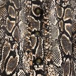 Planet Gold NWOT Snake Print Skater Skirt Button Photo 4