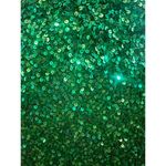 Scala  100% SILK TOP SEQUINED BEADED NECK FLOOR LENGTH GREEN GOWN WOMENS SIZE 5 Photo 7