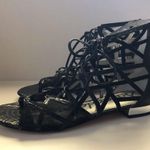 Sam Edelman  Black Denver Flat Sandals Photo 2