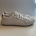 Taos Star Burst Canvas Lace Photo 2